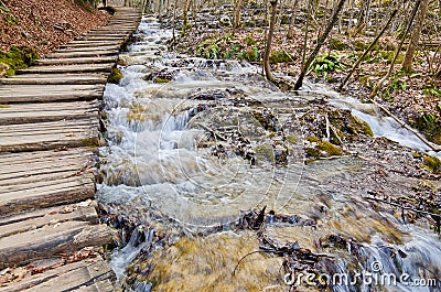 Road in to deep forest, Plitvice Stock Photo