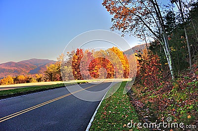 Road to Fall Stock Photo