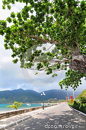 Road to the mountain in Con Dao island Stock Photo