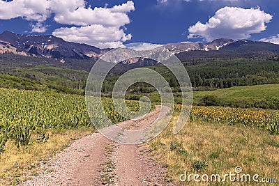 Road to Ohio Pass, Colorado, USA Stock Photo