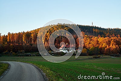 Road to the old children sanatorium in the golden hour Stock Photo