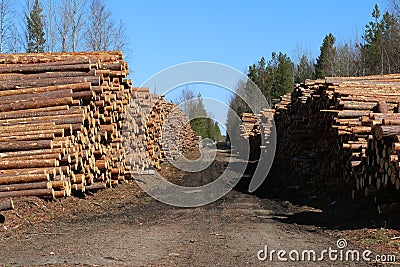 The road to the sawmill in the depths of the Urals Stock Photo