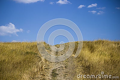 Road to sky. landscape with hills, road and blue sky. south of russia, summer. yellow grass in late August Stock Photo