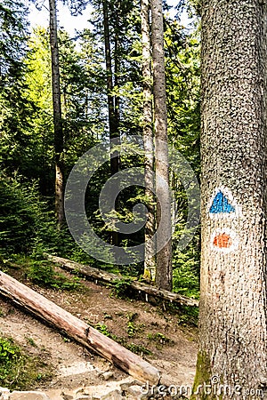 The road to Urlatoarea Waterfall from Bucegi mountains Stock Photo