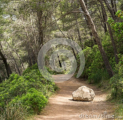 Road or trail blocked by big rock. Overcome an obstacle. Stock Photo