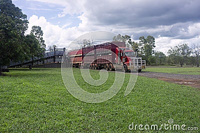 Road train truck waiting to load cattle in Central Queensland, Australia Editorial Stock Photo