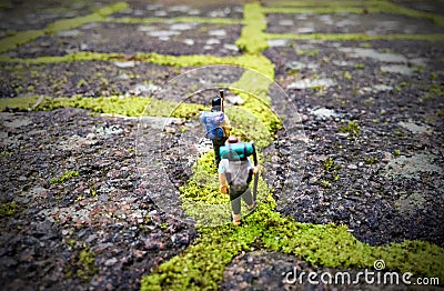 The Road less travelled Miniature photography Stock Photo