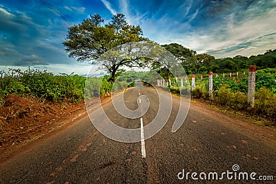 Road with trees at both side- Coimbatore Tamil Nadu India Stock Photo