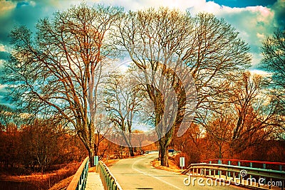 Road and trees tunnel Stock Photo