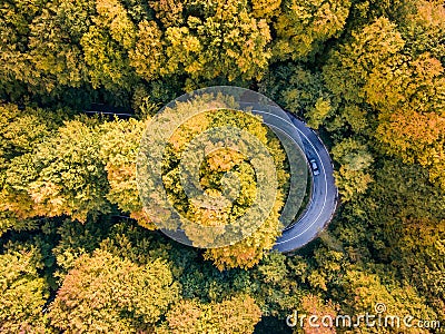 Road trip trough the forest on winding road in autumn season aerial view of a car on winding road Stock Photo