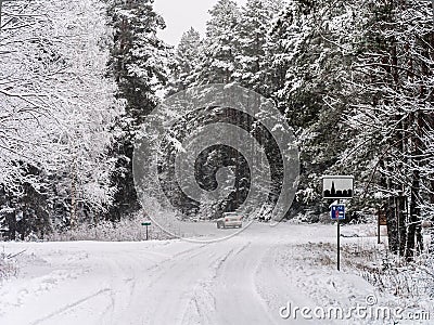 Road turn and leaving car in winter forest Stock Photo