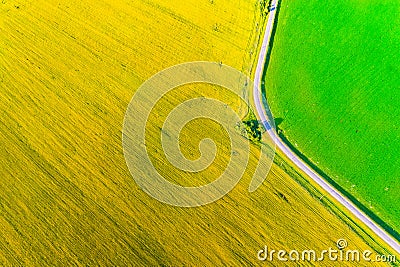 Road turning in farmlands. Aerial landscape. Yellow colza and green cornfield from above Stock Photo