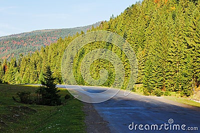 road through the valley with forested hill Stock Photo