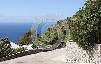 The Road vista Saba Dutch Antilles Netherlands Stock Photo