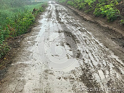 Road wet muddy of backcountry Stock Photo