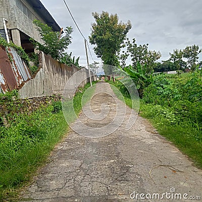 This is the road where people return to their respective homes Stock Photo