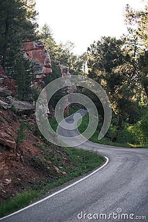 Road with winding curves among forest Stock Photo