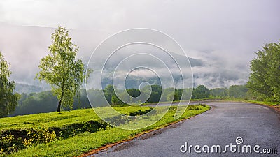 road winds through the foggy countryside Stock Photo
