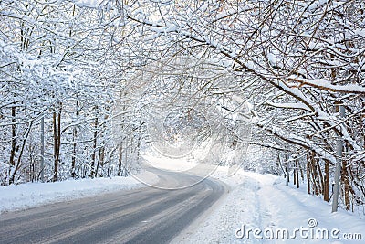 Road in winter forest. Scenic view of tunnel with snowy trees. Turn of road in woods after snowfall Stock Photo