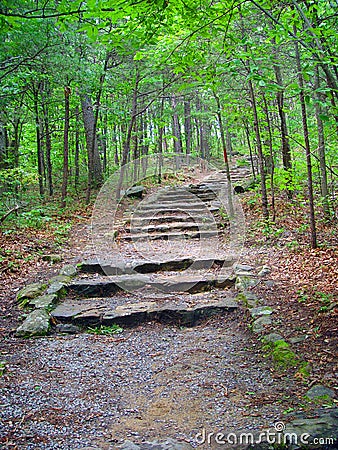 Road into the woods Stock Photo