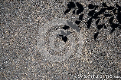 Roadbed covered with asphalt crumb and black silhouettes of tree branches Stock Photo