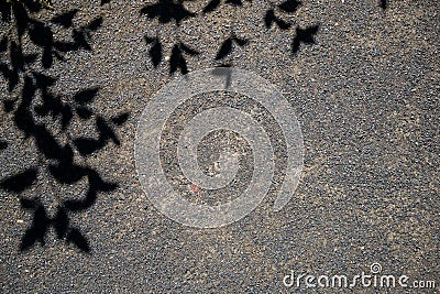 Roadbed covered with asphalt crumb and shadow silhouettes of tree branches Stock Photo
