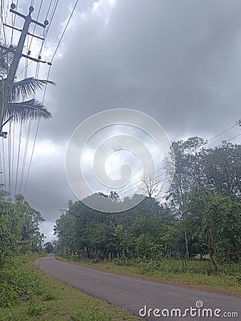 Roads are beutifull tree,s are pretty Stock Photo