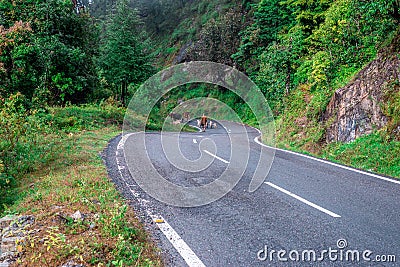 Roads in Himalayas Editorial Stock Photo