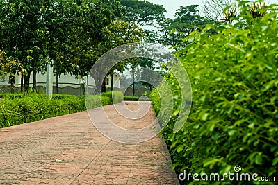 These roads travel through deserts, huge forests, along beautiful trees, grasses Stock Photo