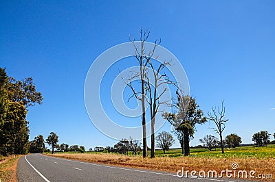 Roadside view on spring design. Stock Photo