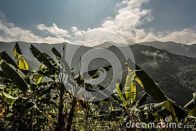 Roadside view between Xieng Khouang and Luang Prabang Stock Photo