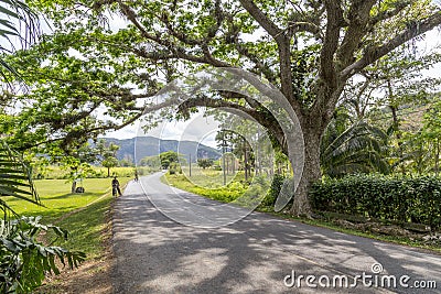 Roadway near Pinar del Rio, Cuba Editorial Stock Photo