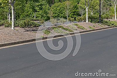 Roadway by parking lot, asphalt with formed concrete curb, trees and bushes landscaping Stock Photo