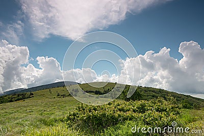 Roan Mountain Stock Photo