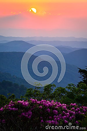 Roan Mountain Sunset Stock Photo
