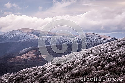 Roan Mountain in the Winter Stock Photo