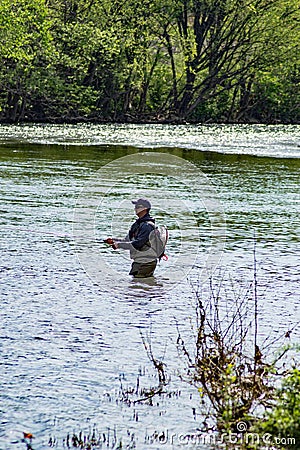 Fly Fishing for Trout on the Roanoke River Editorial Stock Photo
