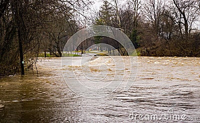 Flooding on the Roanoke River at Smith Park Editorial Stock Photo