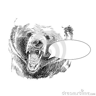 Roaring bear. Bear head. Wild bear. Brown bear head. Vector Illustration