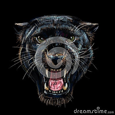 Roaring black panther on black background Stock Photo