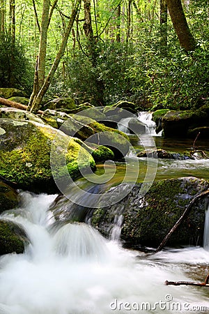 Roaring Fork Motor Trail Waters In the Smoky Mountains Stock Photo