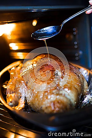 Roast duck in the oven Stock Photo