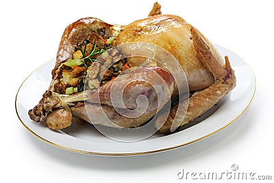 Roast turkey with stuffing Stock Photo