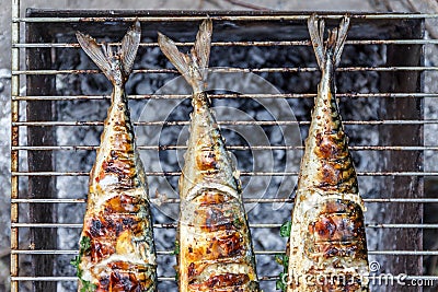 Roasted carcass fish mackerel cooked on the grill, top view, close-up Stock Photo