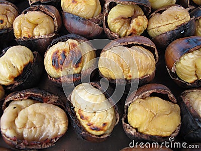 Roasted Chestnut Stock Photo