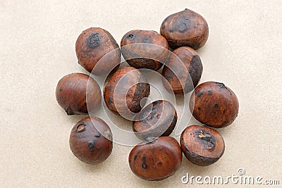 Roasted Chestnut Stock Photo