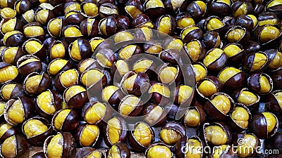 Roasted Chestnut Stock Photo