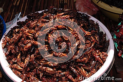 Roasted cockroaches Stock Photo