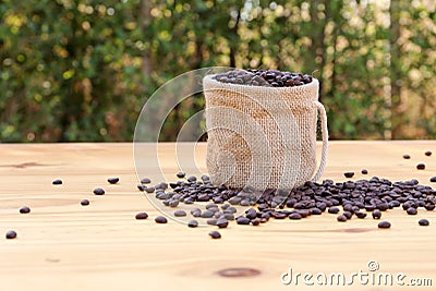 Roasted coffee beans in a bag with bokeh background Stock Photo