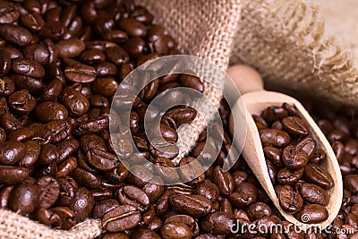 Roasted coffee beans in sack burlap. Stock Photo